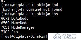 master jps 没有namenode问题