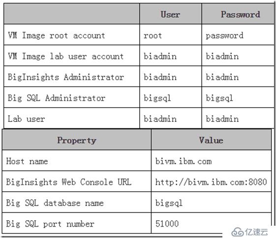 怎么进行IBM大数据处理平台BigInsights的分析