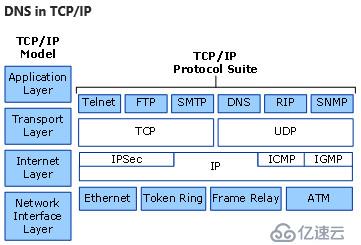 Windows Server 2016-DNS客户端新增功能