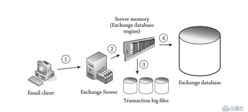 EXchange是如何存储数据和事务日志
