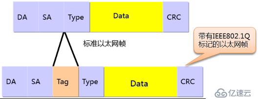 中小型企业网络构建之虚拟局域网的搭建