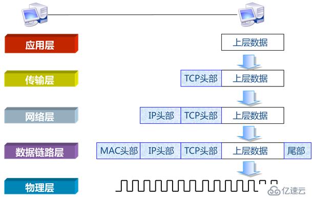 网络参考模型