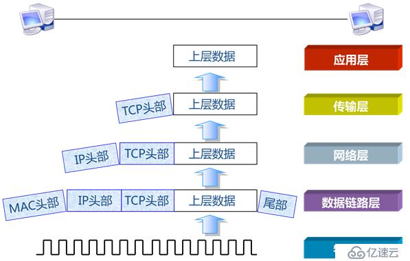 网络参考模型