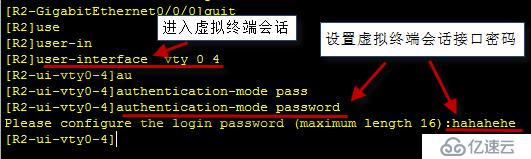 TCP/UDP报文结构分析