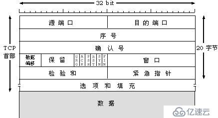 计算机基础--网络协议