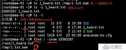 Linux文件和目录管理（下）