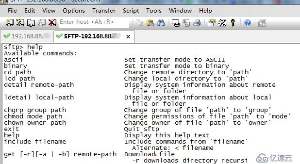 SecureCRT在linux与windows本地互传文件之SFTP