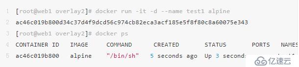 太全了｜万字详解Docker架构原理、功能及使用