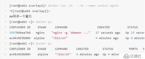 太全了｜万字详解Docker架构原理、功能及使用