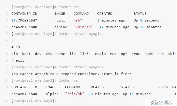 太全了｜万字详解Docker架构原理、功能及使用