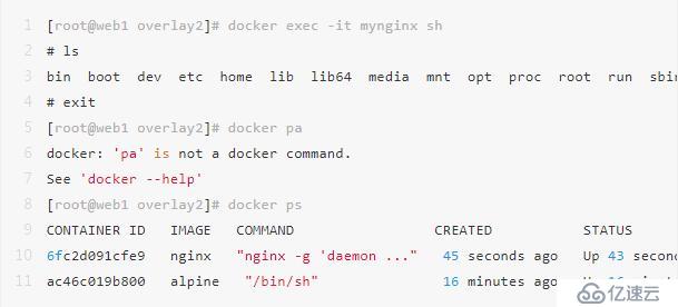 太全了｜万字详解Docker架构原理、功能及使用