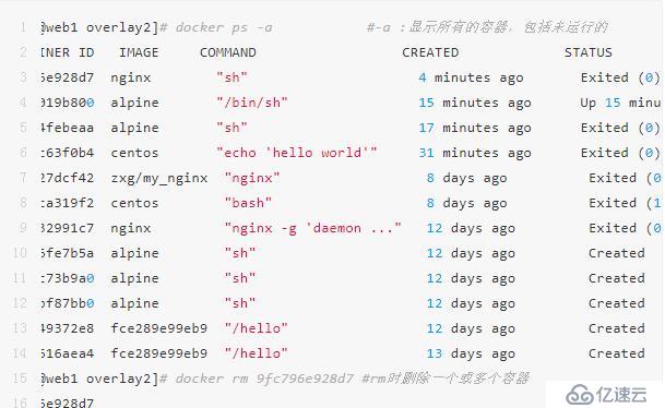 太全了｜万字详解Docker架构原理、功能及使用