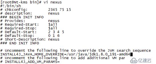 Nexus安装配置全过程