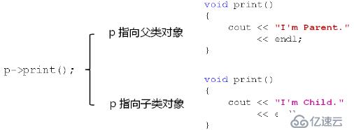 C++--同名覆盖、多态