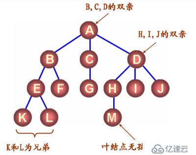 八、树和二叉树