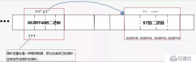 C语言必学之指针详解，了解一下？