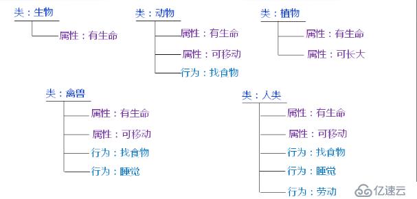 进阶面向对象（十一）