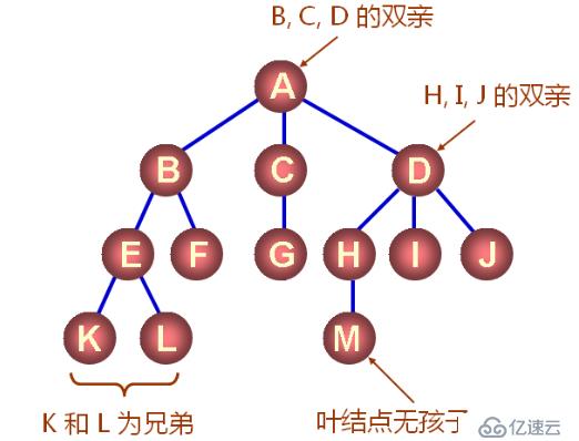 数据结构（十三）——树