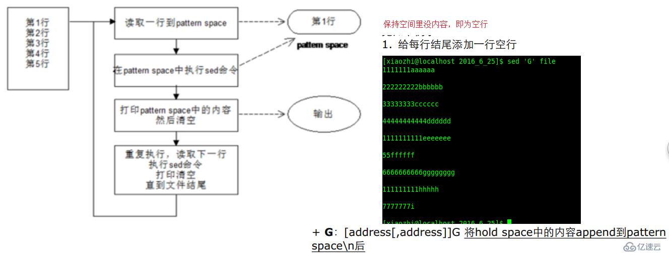 如何进行sed流式编辑器的分析