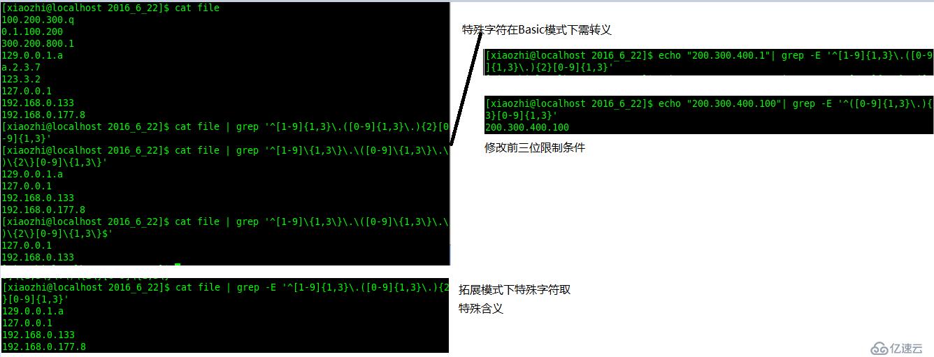 正则表达式及grep工具有什么用