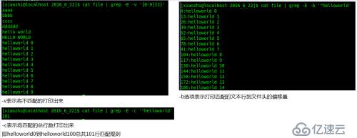 正则表达式及grep工具有什么用