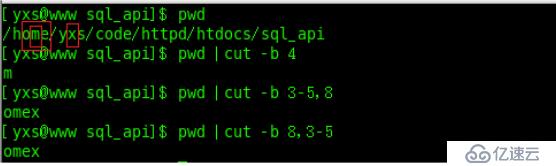 shell字符串截取之cut