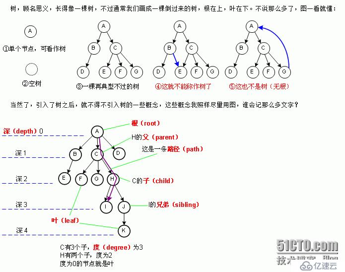 二叉树常考面试题