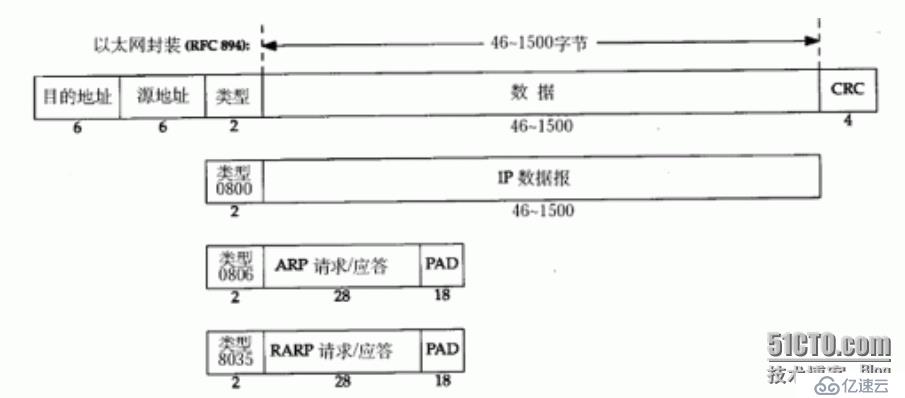 MAC帧格式，IP数据报格式和ARP数据报格式