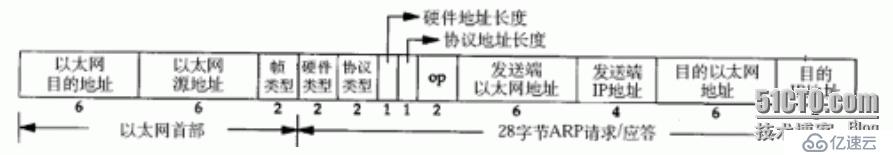 MAC帧格式，IP数据报格式和ARP数据报格式