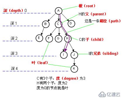 c++實現(xiàn)二叉樹（遞歸）