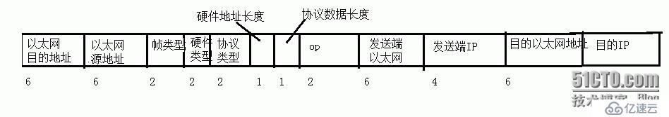 ARP数据报格式