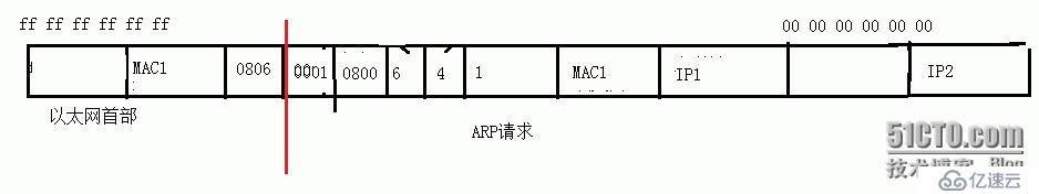 ARP数据报格式