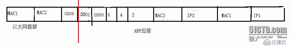 ARP数据报格式