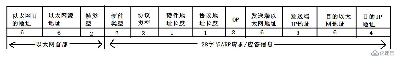 ARP数据报传送格式