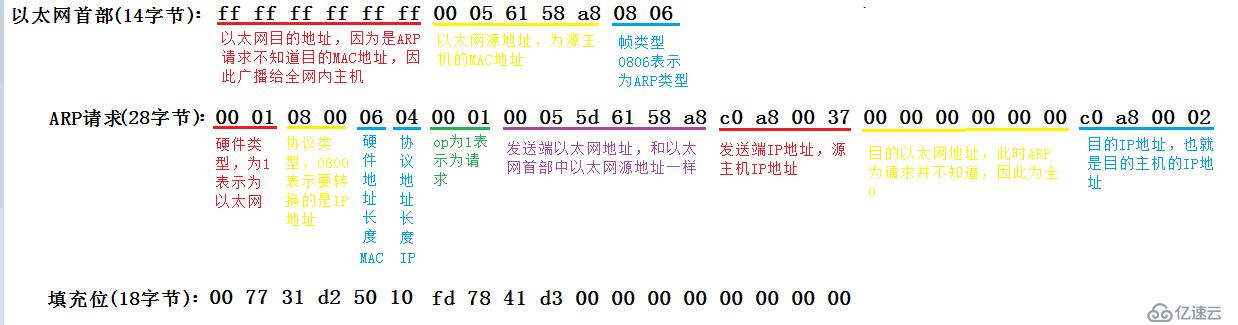 ARP数据报传送格式