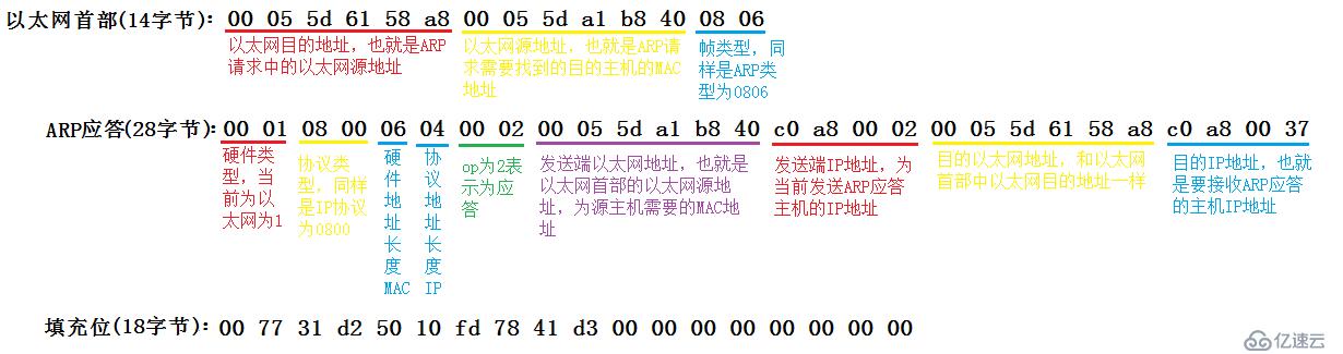 ARP数据报传送格式