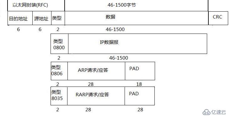 ARP的一次请求与应答