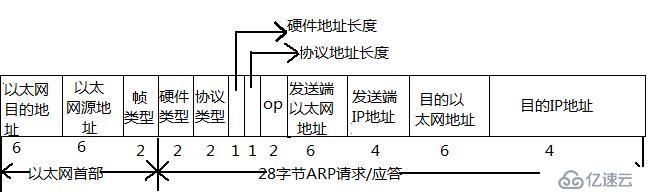 ARP的一次請求與應答