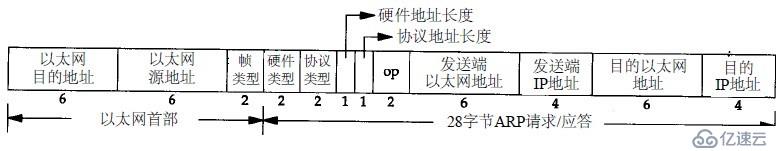 ARP协议怎么使用