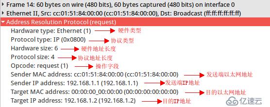 ARP协议怎么使用