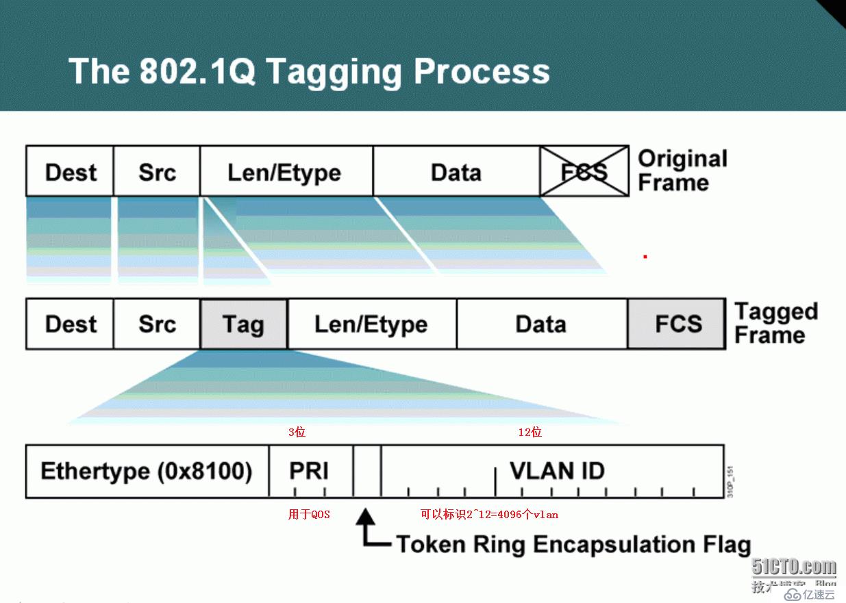 66、VLAN、Trunk、VTP简介