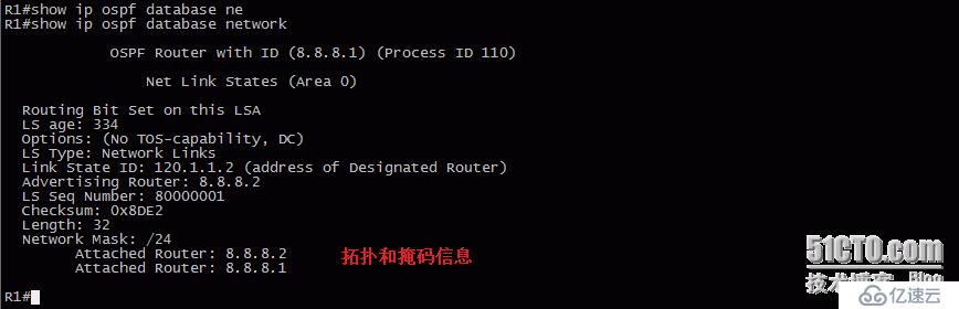 13、OSPF配置实验之LSA2