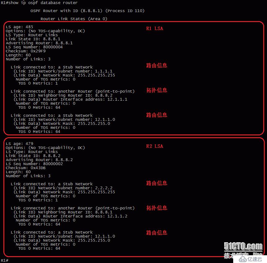 12、OSPF配置实验之LSA1