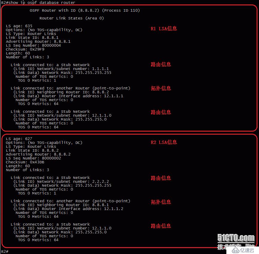 12、OSPF配置实验之LSA1