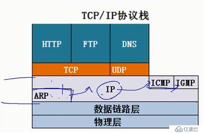 计算机网络网络层