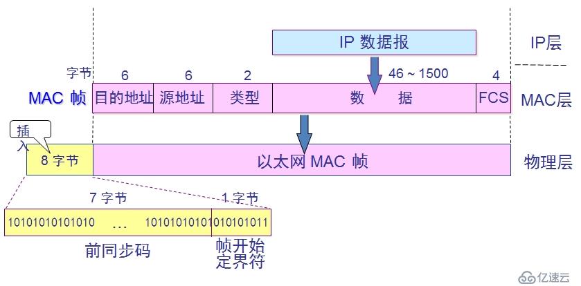 計(jì)算機(jī)網(wǎng)絡(luò)數(shù)據(jù)鏈路層