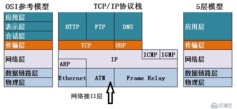 计算机网络概述