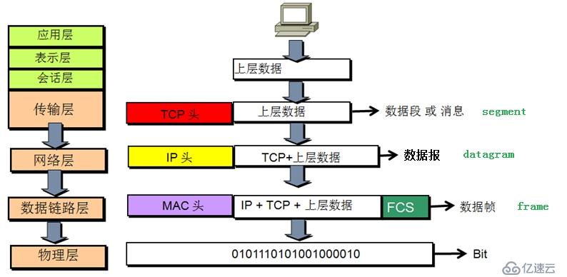 计算机网络概述