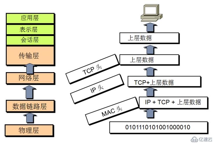 計算機網(wǎng)絡概述