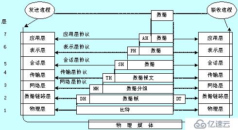 我对互联网体系结构的认识